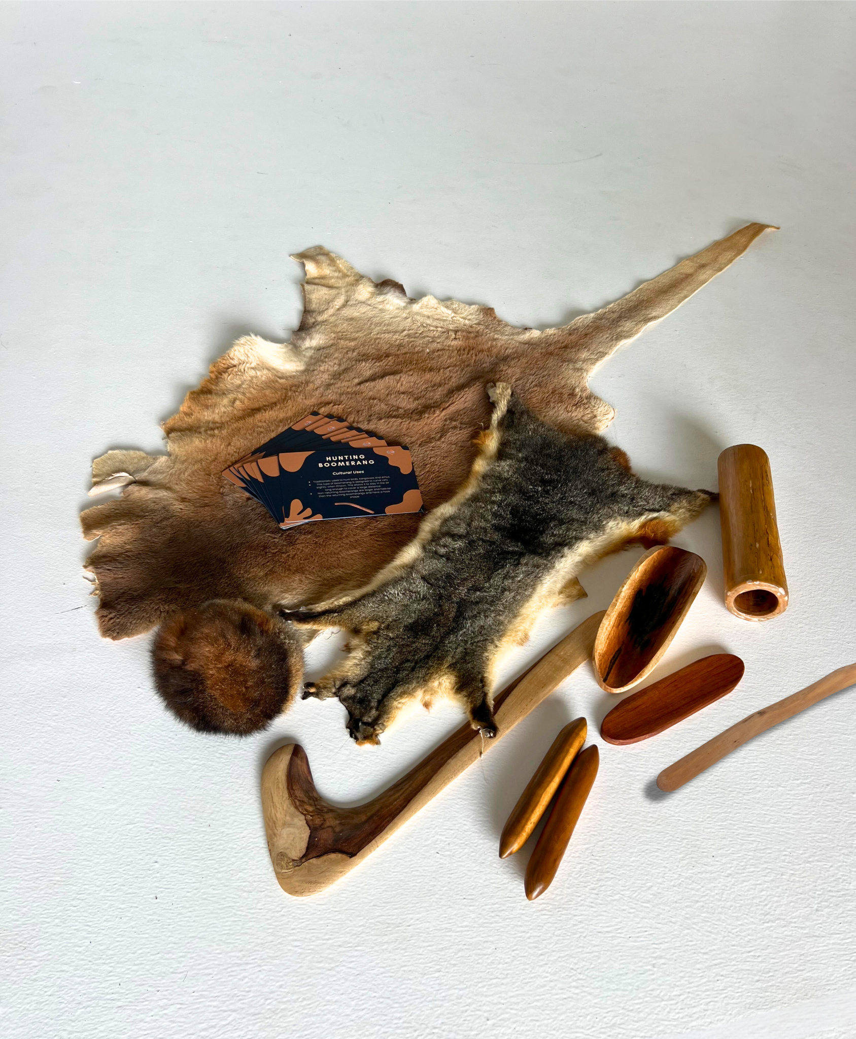 Artefact Education Kit