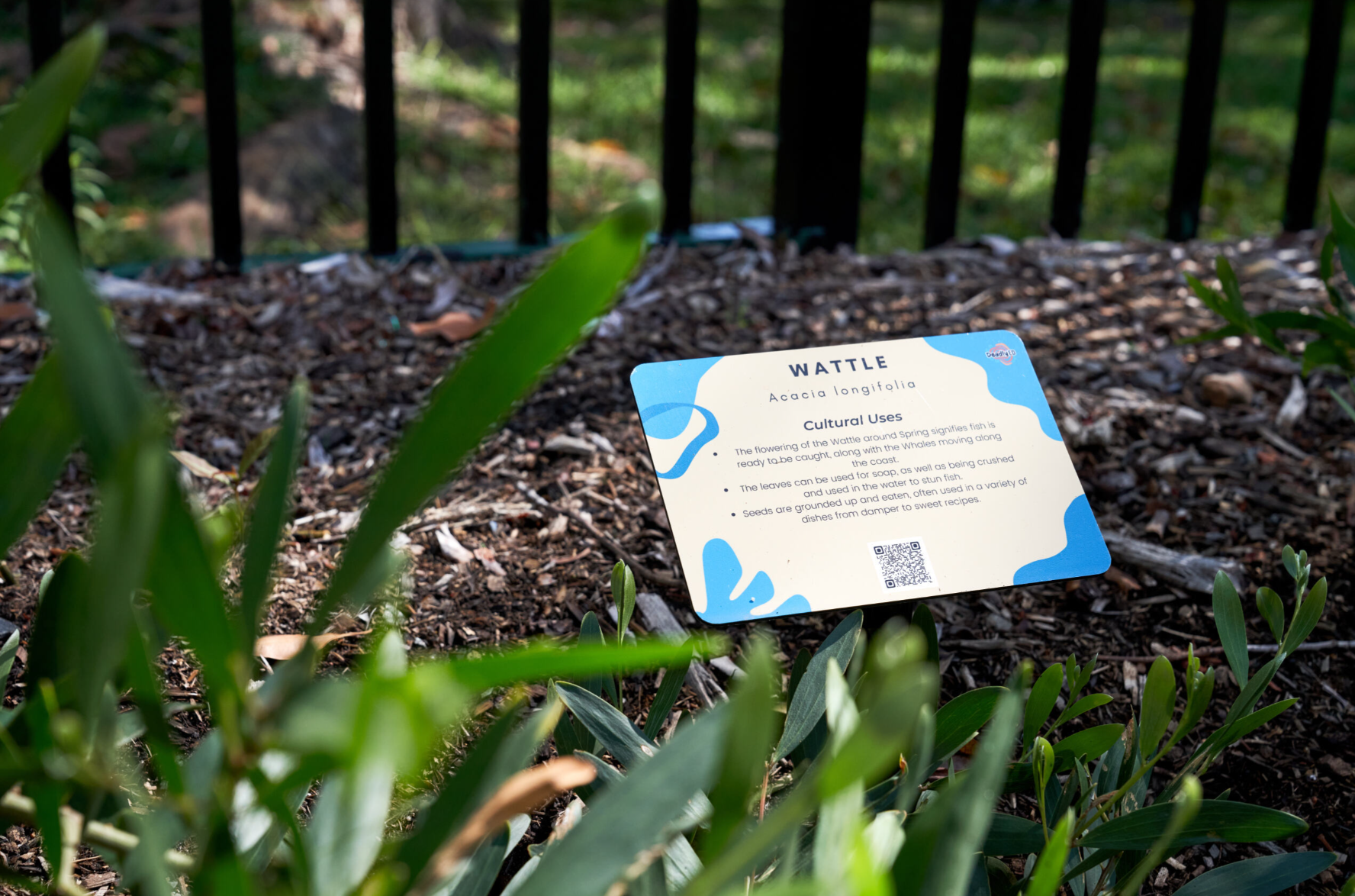 Bush Tucker Plant Signage